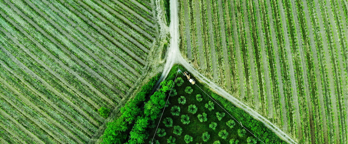 Market Expansion landscape