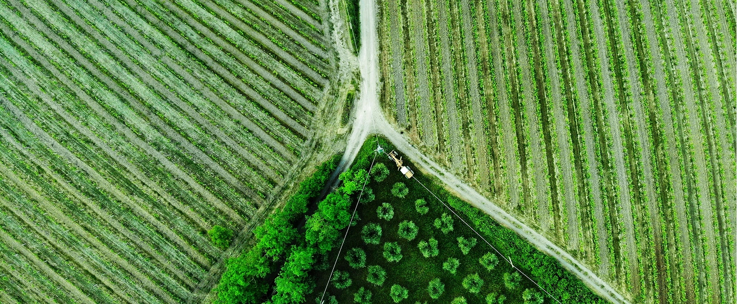 Market Expansion landscape