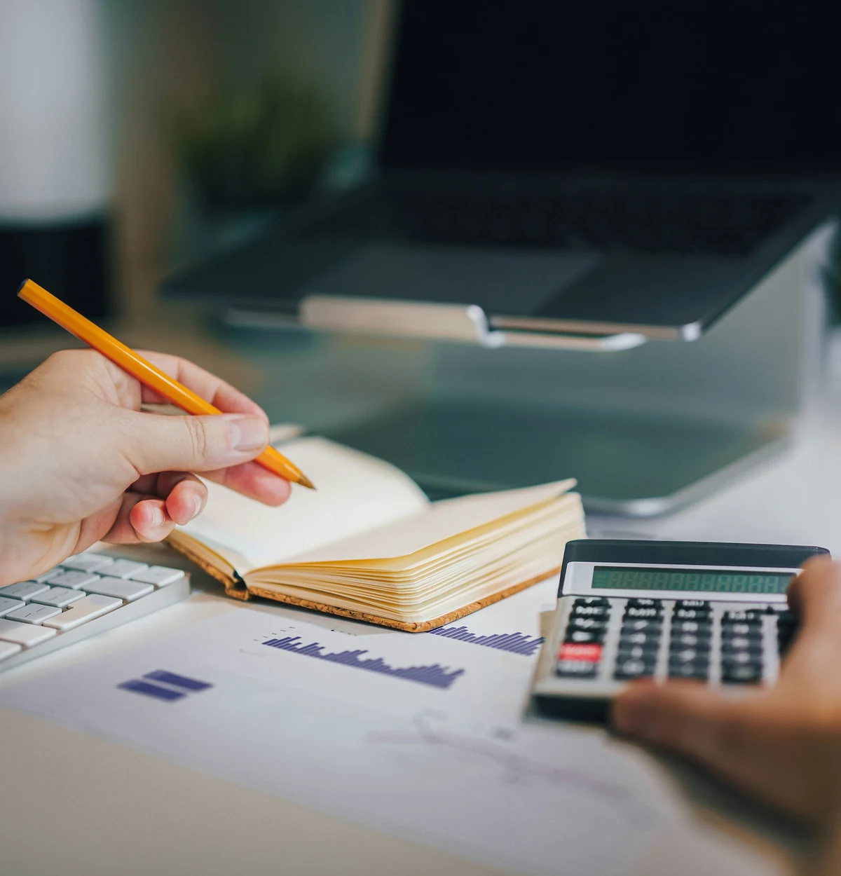 Pricing and Margin Discipline