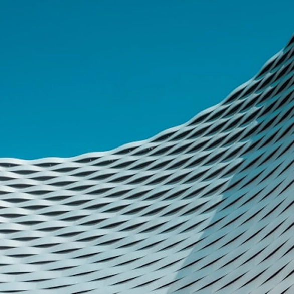 Curriculum & Program Design