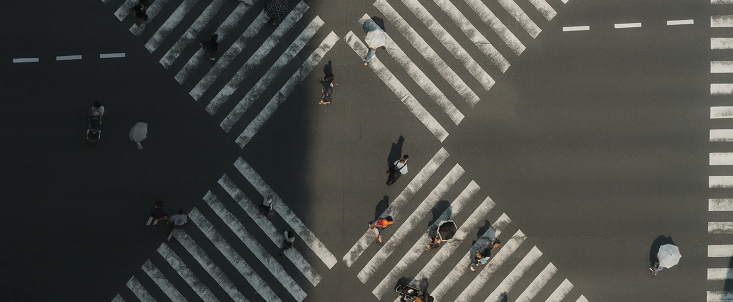 Culture Diagnostic and Compatibility Assessment