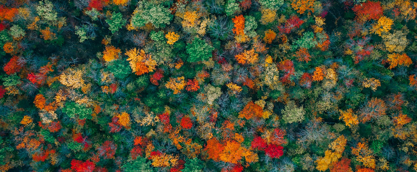 People Integration Architecture