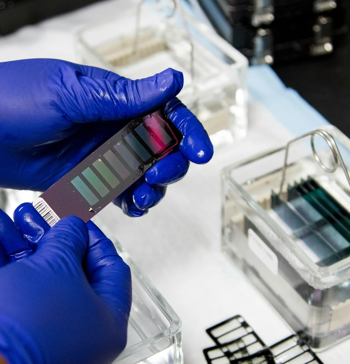 Integration Diagnostic and Baseline