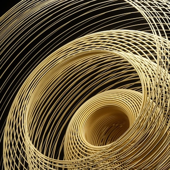 Middle Succession Program