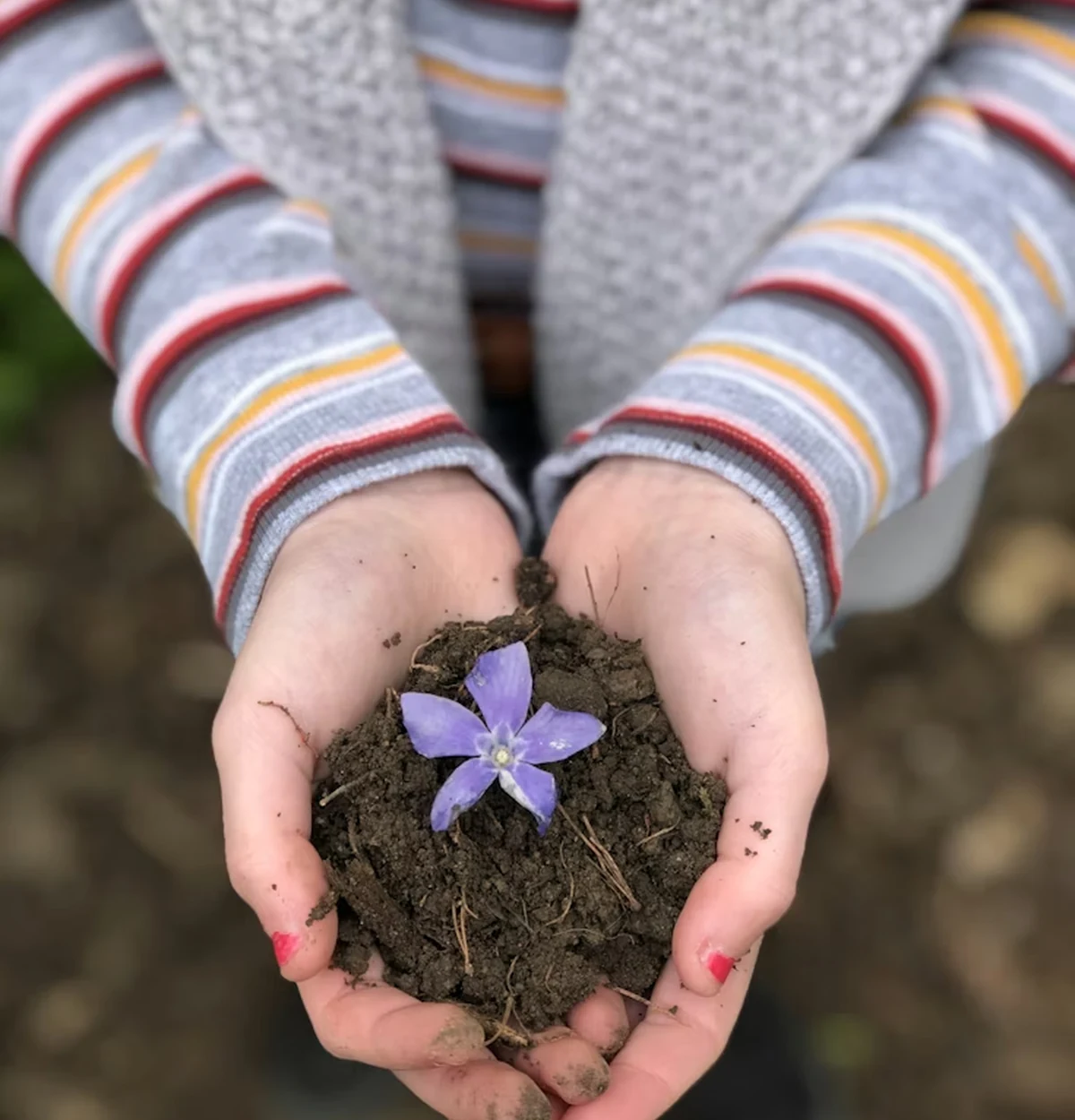Ownership and Accountability Installation